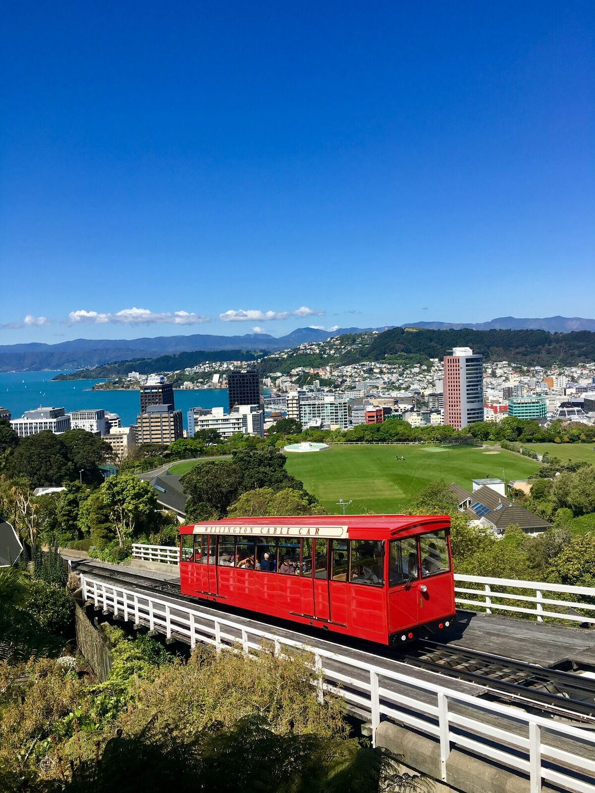 Website design for Wellington small businesses — Fairweb NZ